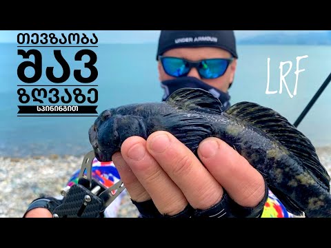 თევზაობა სპინინგით შავ ზღვაზე Rockfishing-მაისის პასიური კარჩხანები